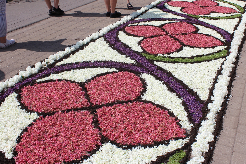 kwiatowy dywan z bialych, różowych i fioletowych kwiatów