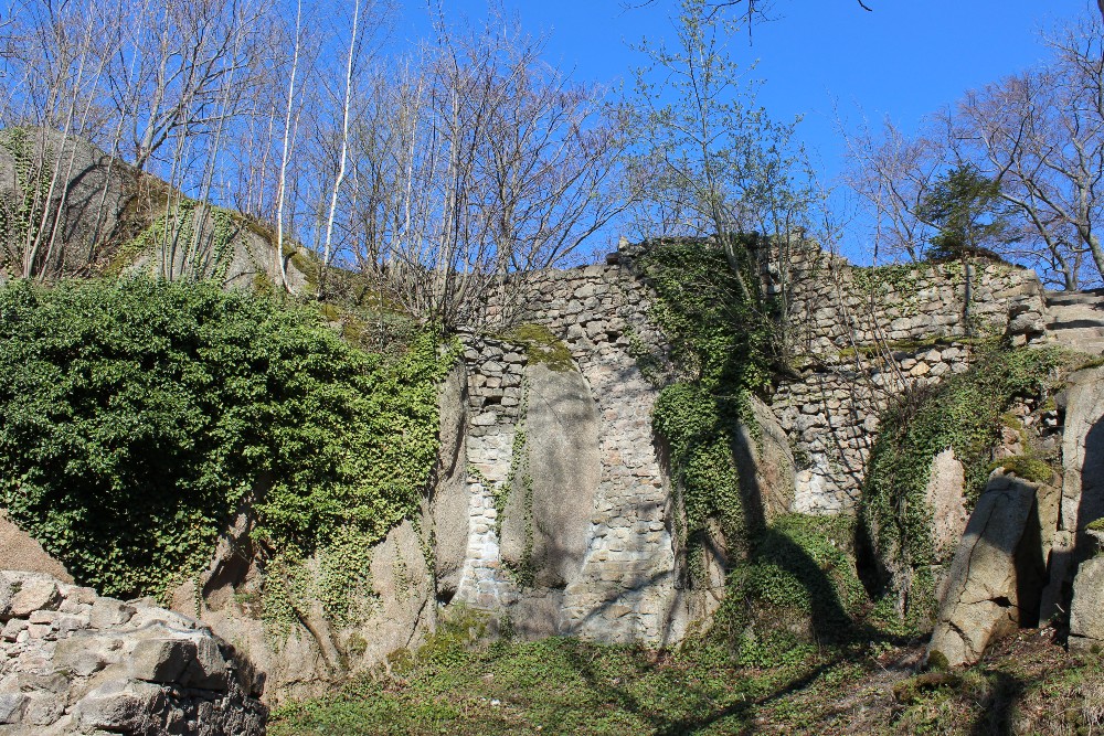 Zamek Bolczów - widok od środka